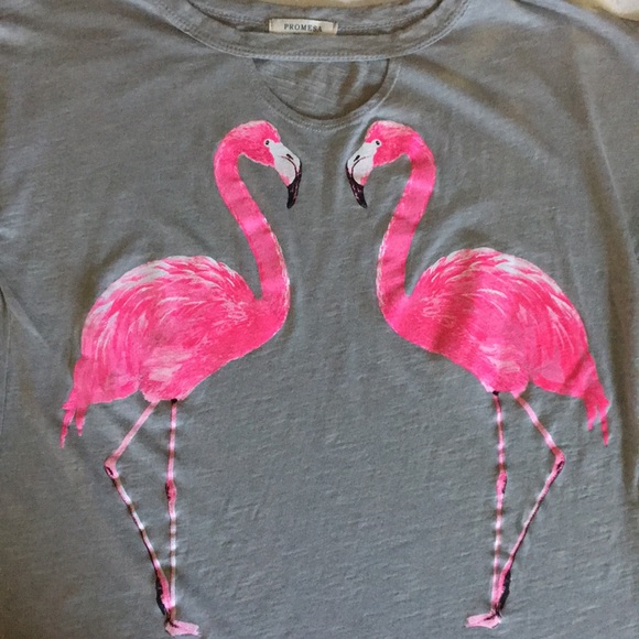 Flamingo Tee - Picture 2 of 3